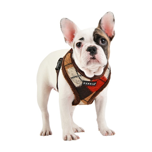 Jolly Brown - Fodrad Hundsele