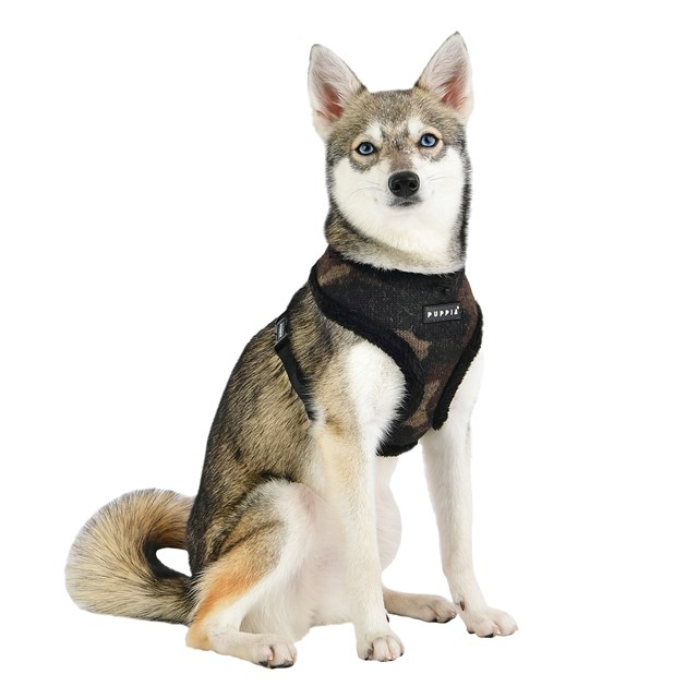 Colonel Black - Fodrad Hundsele