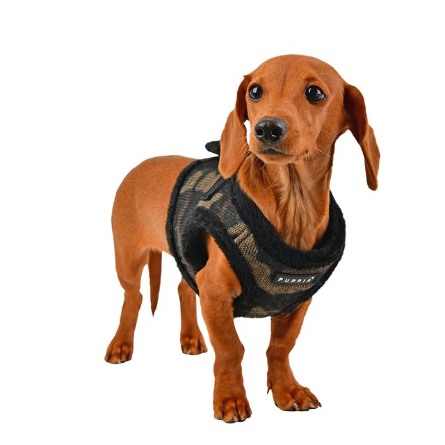 Colonel Camo - Fodrad Hundsele