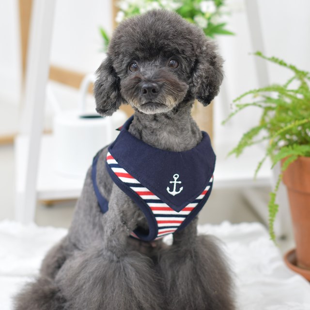Seaman - Hundsele Navy