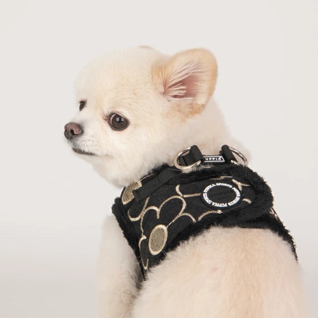 Florent Svart - Jacket Hundsele