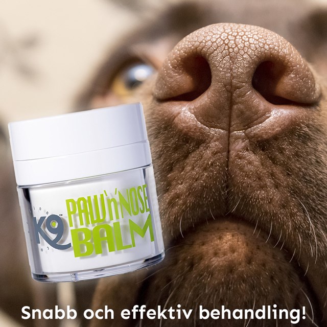 Paw n Nose Balm 50ml