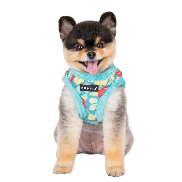 Alyssa Aqua - Fodrad Hundsele