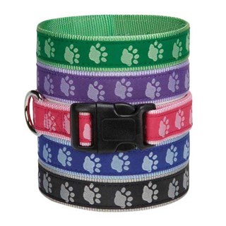 Gg Pawprint Halsband - Viol - Xl
