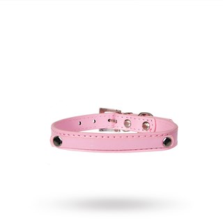 Personligt Hundhalsband Rosa