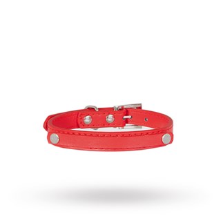 Personligt Hundhalsband Röd