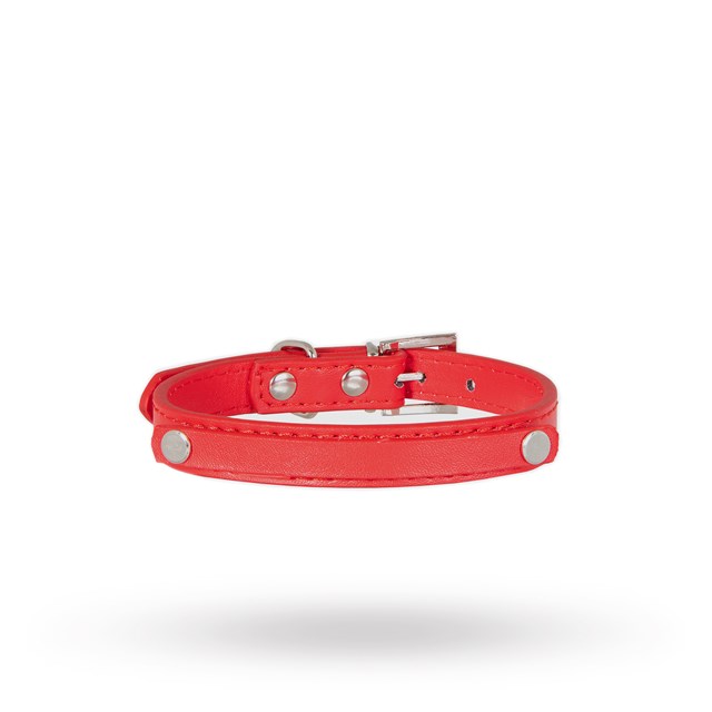 Personligt Hundhalsband Röd