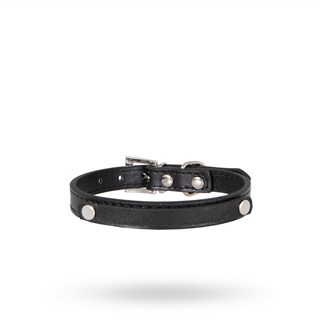 Personligt Hundhalsband Svart