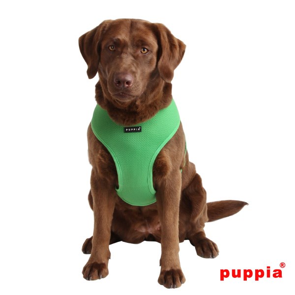 SOFT Green - Hundsele