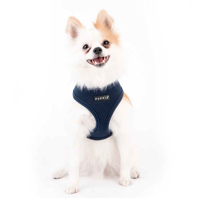 SOFT Navy - Hundsele