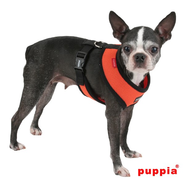 SOFT Orange - Hundsele
