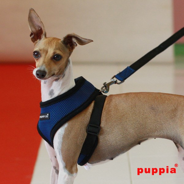 SOFT Royal Blue - Hundsele