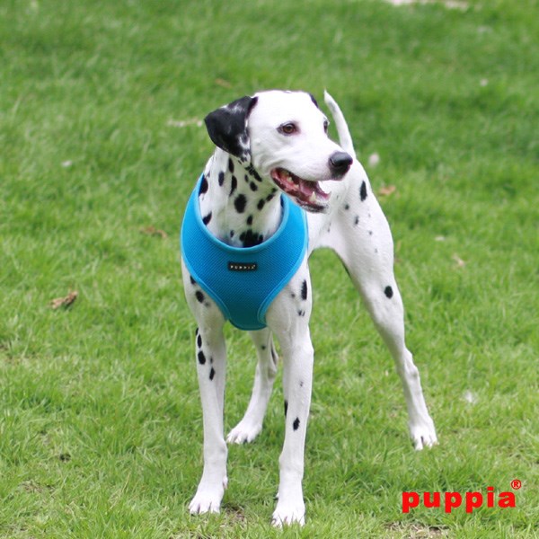 SOFT Sky Blue - Hundsele