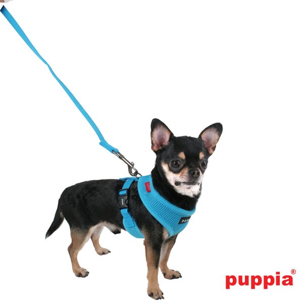 TWO-TONE Green - Hundkoppel
