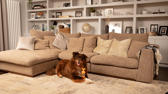 Ditch The Dirt Shampoo 300 ml