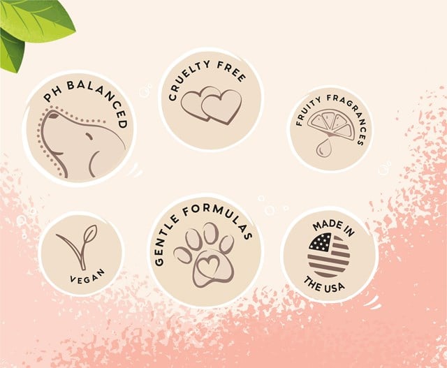 Pet Head Quick Fix 2in1 Shampoo 300ml