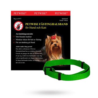 Fästinghalsband För Hund Small <40 Cm