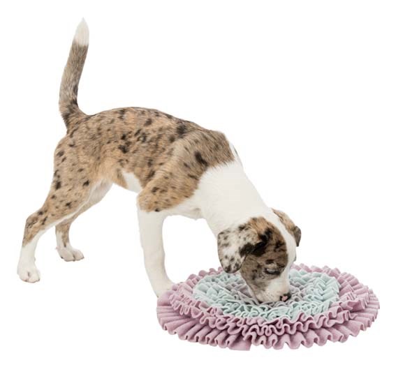 Junior Sniffing Carpet - Aktiveringsmatta