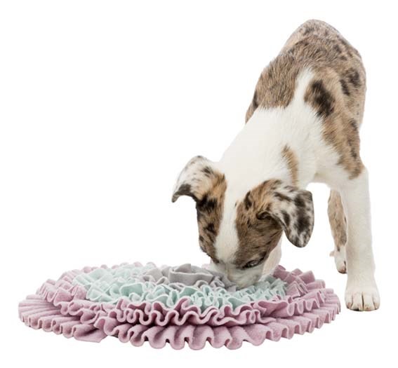 Junior Sniffing Carpet - Aktiveringsmatta