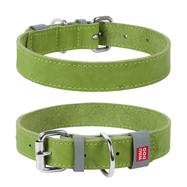 WAUDOG Classic - Läderhalsband LimeGrön