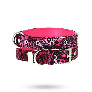Pink Leopard Print Hundhalsband