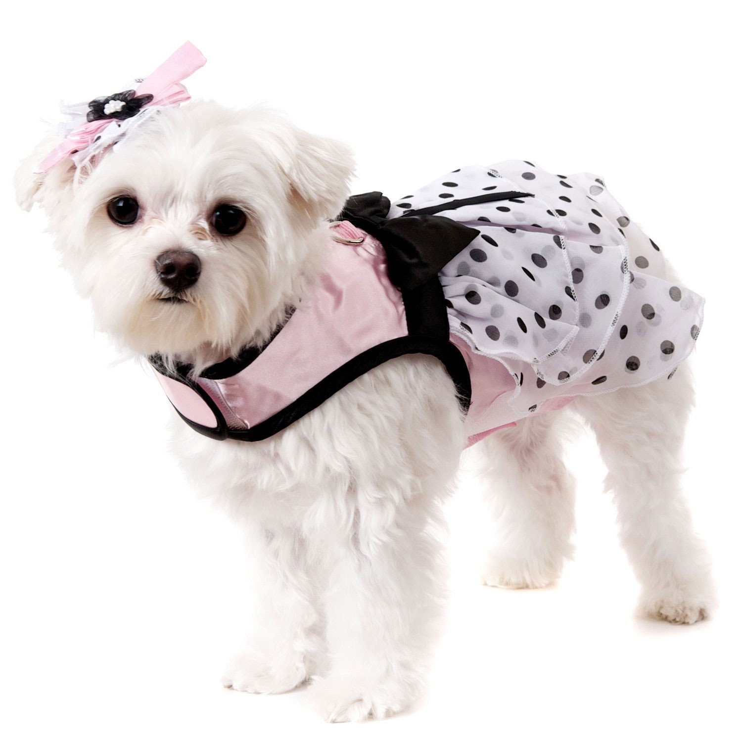 Pink Satin & Hearts Chiffon - Klänning med Koppel, - Hundkläder