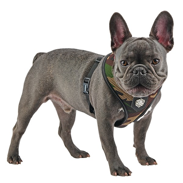 THERMAL SOFT Camo - Hundsele
