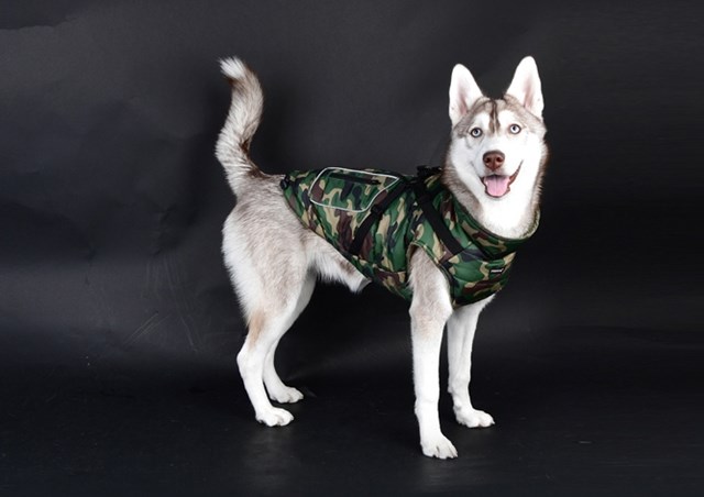 Pioneer Camo - Hundtäcke med Integrerad Sele