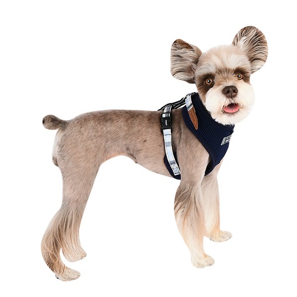 Neil Superior Navy - Hundsele
