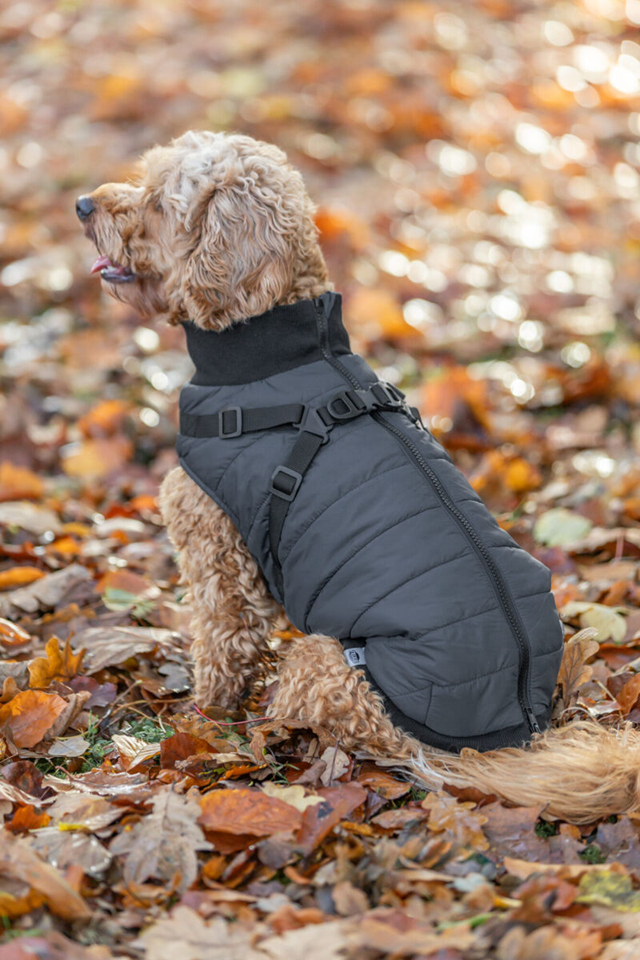 Pontis Hundtäcke med integrerad sele - Blå