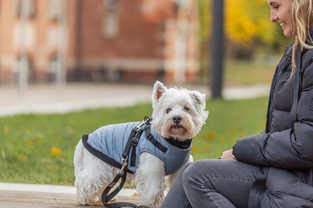 Pontis Hundtäcke med integrerad sele - Blå/Grå