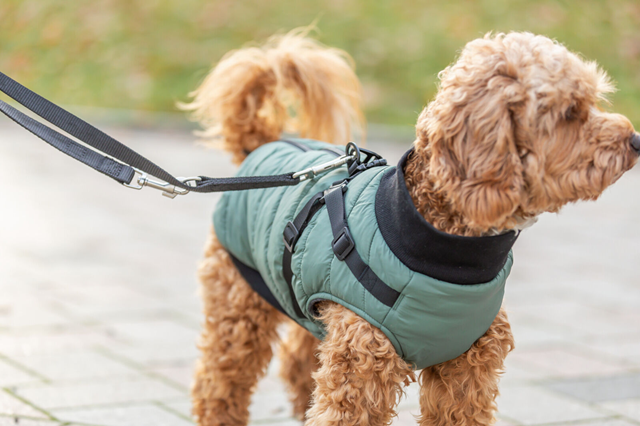 Pontis Hundtäcke med integrerad sele - Sage