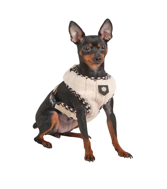 Zest Beige - Fodrad Hundsele - Large