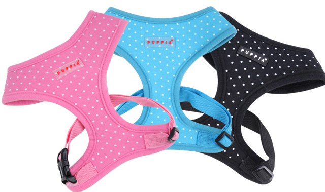 DOTTY Pink - Hundsele - Large