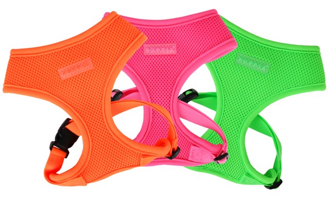 NEON SOFT Green - Hundsele - Large