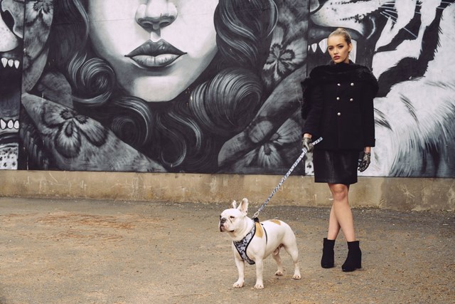 Urban Camouflage - Hundsele