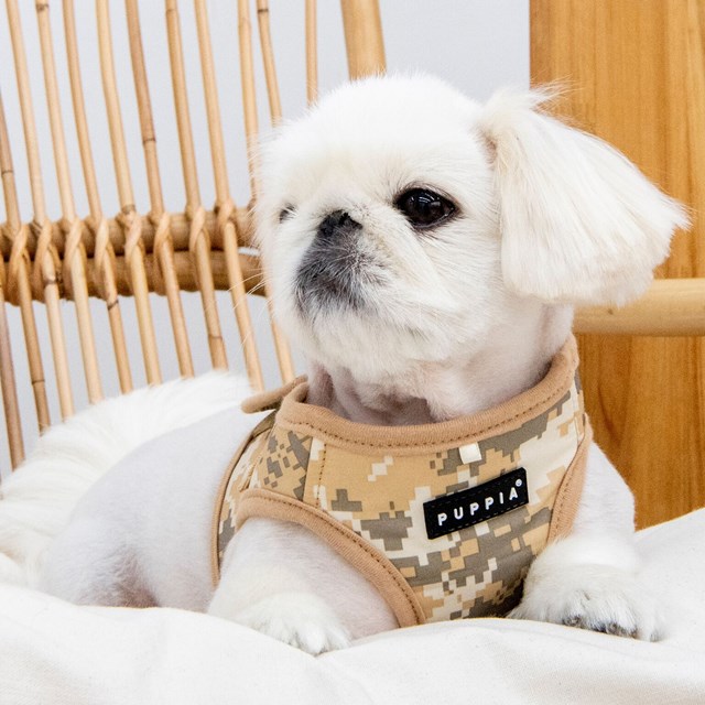 Sentinel Beige/Camo - Hundsele