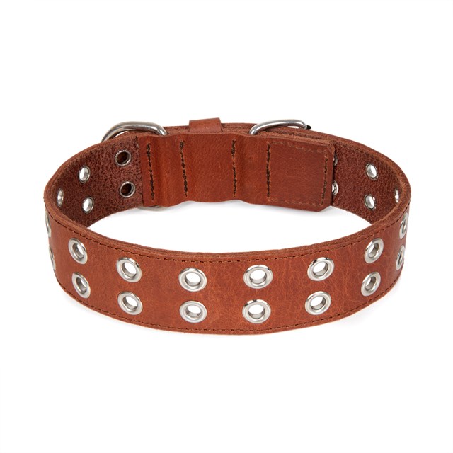 ROCK Brown - Läder Hundhalsband