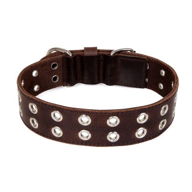 ROCK Dark Brown - Läder Hundhalsband