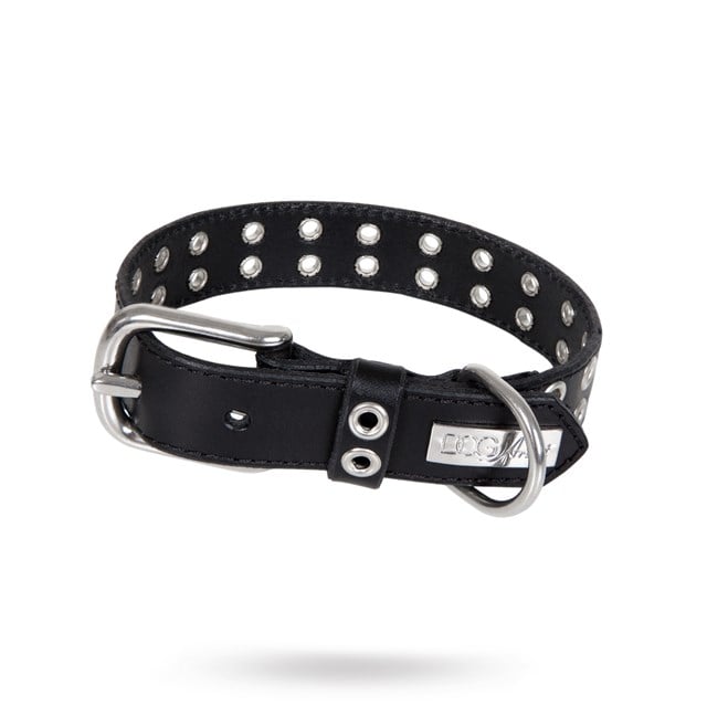 ROCK Special Black - Läder Hundhalsband