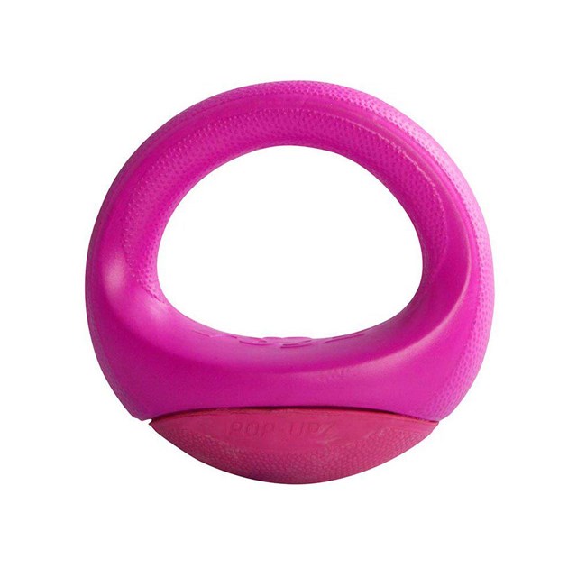 Rogz Pop-upz Rosa - Flytande hundleksak