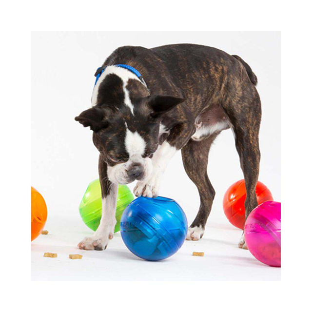 Rogz Tumbler Orange - Aktiveringsleksak