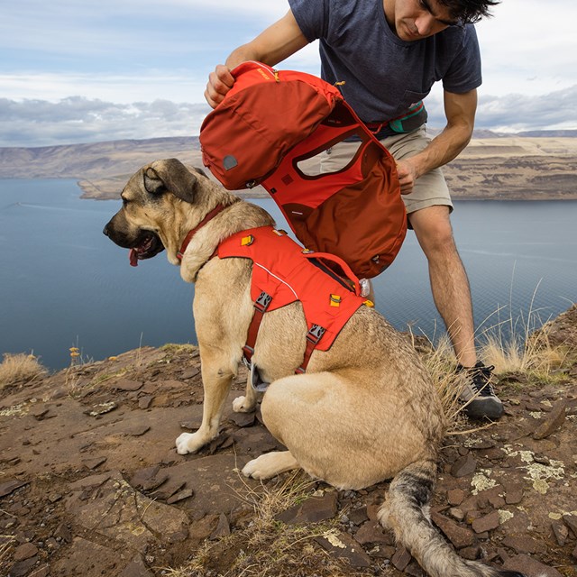 Ruffwear Palisades Pack Klövjeväska - Red Sumac