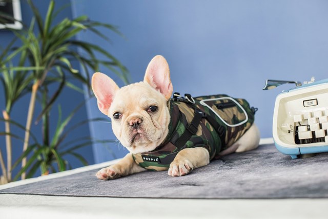 Pioneer Camo - Hundtäcke med Integrerad Sele