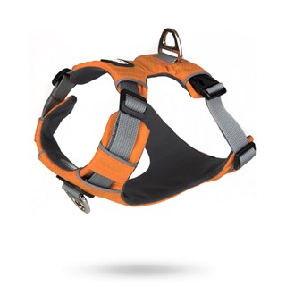 Safe-walk Pro™ - Orange Hundsele