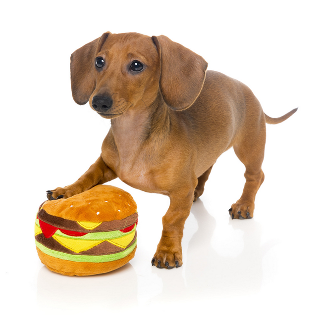 Mjuk Hundleksak - Hamburgare
