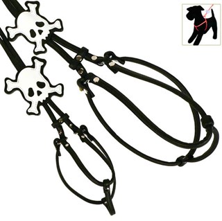 Black Skull Step-in Harness & Lead - Xxs