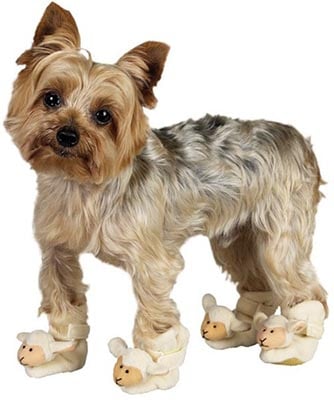 CC Doggy Slippers Lamb Hundtofflor - Vit - SMALL - Hundkläder
