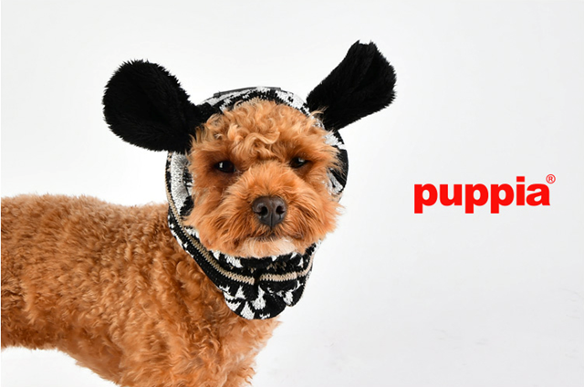 PRANCER SNOOD - Svart