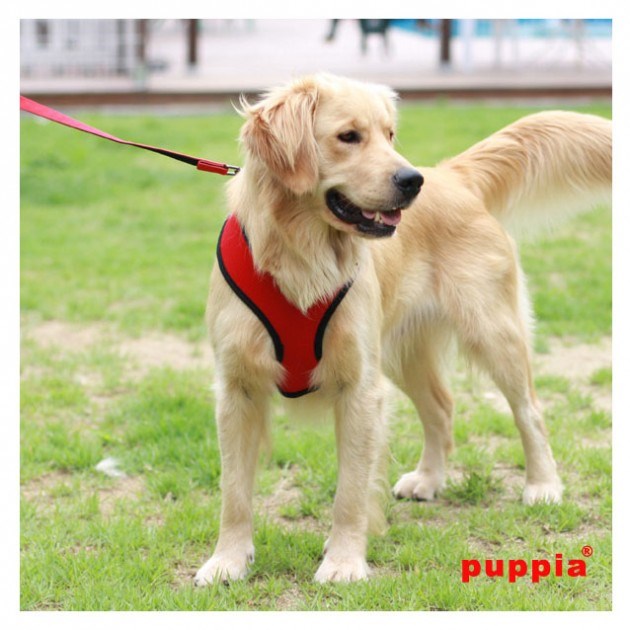 SOFT Red - Hundsele